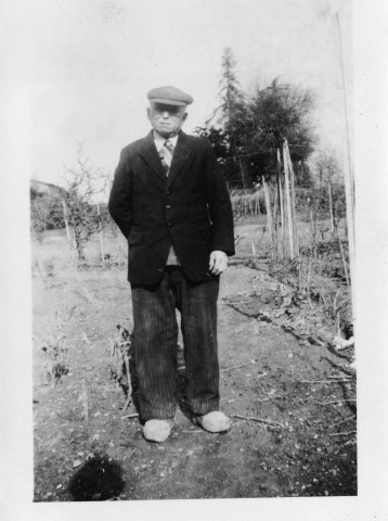 François Artaud dans son jardin et taillant ses poiriers : 2 photographies noir et blanc.