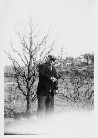 François Artaud dans son jardin et taillant ses poiriers : 2 photographies noir et blanc.