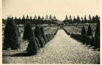 Décès en 1914. - Succession, inhumation et souvenir religieux : correspondance, photographies de la tombe.