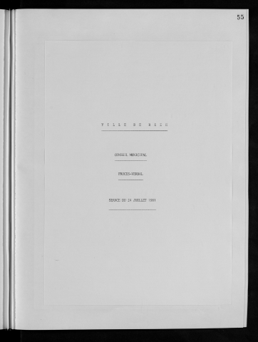 Conseil du 24 juillet 1981
